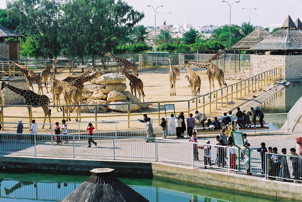 Doha Zoo